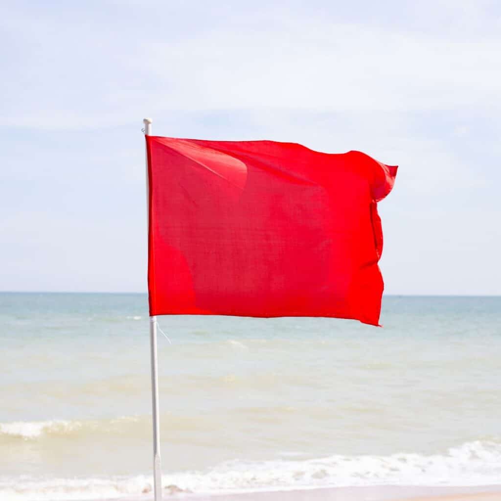 Red flag by the beach small business website design services